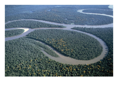 http://1.bp.blogspot.com/_VLo3C5uYOpA/Sx1sXq97mvI/AAAAAAAAAQc/zBi__1Z1WS4/s400/SuperStock_442-7806~Amazon-River-Amazon-Jungle-Brazil-Posters.jpg