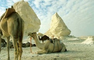 white desert 7 Inilah Keajaiban Gurun Putih Mesir Yang Eksotis